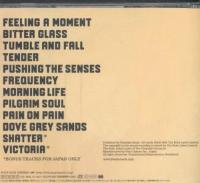 フィーダー / プッシング・ザ・センシズ