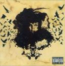 Filth in the beauty-Optical Impression-