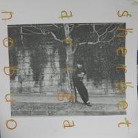 有賀啓雄 / シャーベット