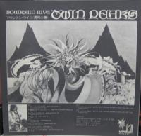 マウンテン / 異邦の薫り