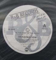 イマジネーション / IN THE HEAT OF THE NIGHT