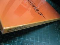 アニメ / ヱヴァンゲリヲン新劇場版:破　:2.22 YOU CAN (NOT) ADVANCE.