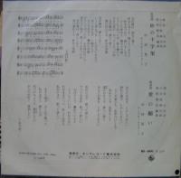 中村晃子 / 砂の十字架