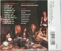 ガンズ・アンド・ローゼズ / アペタイト・フォー・ディストラクション