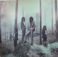 アクション / インターアクション