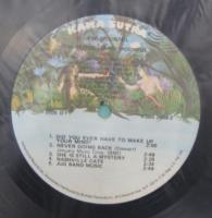 ラヴィン・スプーンフル / ザ・ベスト