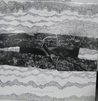 ビジター / Visitor