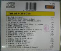 ビーチ・ボーイズ / THE  BEACH BOYS