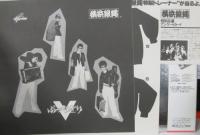 横浜銀蝿 / ぶっちぎりV