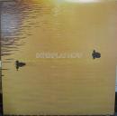 インタープレイ・ナウ