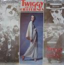 ツイギー・アンド・ザ・ガールフレンズ