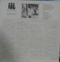 グレッグ・オールマン / 嵐