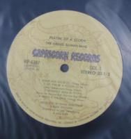 グレッグ・オールマン / 嵐