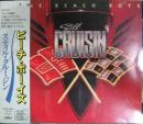 スティル・クルージン