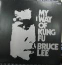 マイ・ウェイ・オブ・カンフー～ブルース・リーの魅力