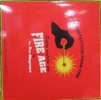 ザ・クロマニヨンズ ファイヤーエイジ レコード アナログ