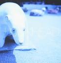 メメントモリ