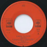 ブルー・オイスター・カルト - 地獄の炎 SOPB-293/中古CD