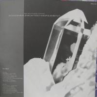 オートモッド、サディ・サッズ、マダム・エドワルダ、ゲー・シュミット / 時の葬式[Selections From Excommunicated Monument]