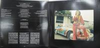ジャニス・ジョプリン / 伝説のロッククィーン・ジャニス