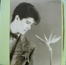 ロマンティック・ビュー