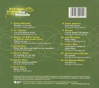 オムニバス / Do It Again: a Tribute to Beach Boys 