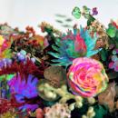 ニュース・フロム・ノーウェア