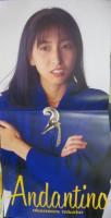 岡村孝子 / アンダンティーノ