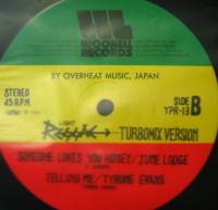 VA / LIGHT REGGAE TURBOMIX-VERSION