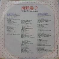 南野陽子 / 吐息でネット