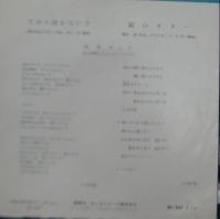 紀本ヨシオ / だから泣かないで/涙のギター