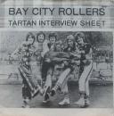 タータン・インタビュー・シート