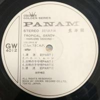 細野晴臣 / トロピカル・ダンディ　tropical　dandy