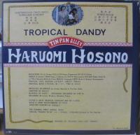 細野晴臣 / トロピカル・ダンディ　tropical　dandy