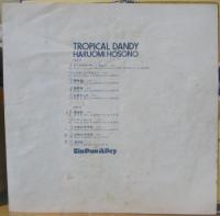 細野晴臣 / トロピカル・ダンディ　tropical　dandy