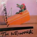 金曜日のライオン