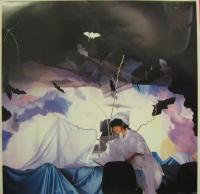 中森明菜 / D404ME