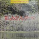 哀しみのソレアード