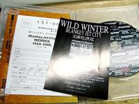 ブランキー・ジェット・シティ / WORKS 1990-2000 DVD including all BJC works