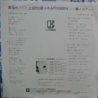 上田知華　+　KARYOBIN / 憧れ