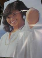 山口百恵 / ザ・ベスト