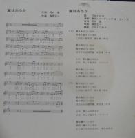 ワカとヒロ/岩田康男/トップギャラン / 翼はあるか/ミスター・スティール