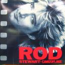 カムフラージュ