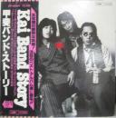 甲斐バンド・ストーリー