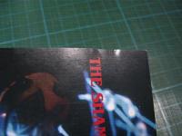 メディアユース / THE SHAMELESS DOG SHOW&COOL