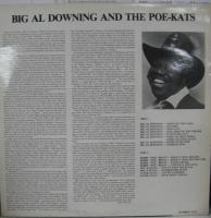 ビッグ・アル・ダウニング / Big Al Downing And The Poe-Kats