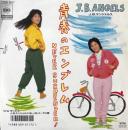 青春のエンブレム Never Surrender!