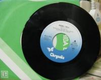 ビリー・アイドル / 反逆のアイドル