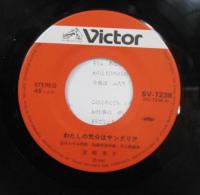 宮崎美子 / わたしの気分はサングリア