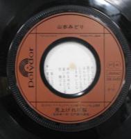 山本みどり / 見上げれば桜